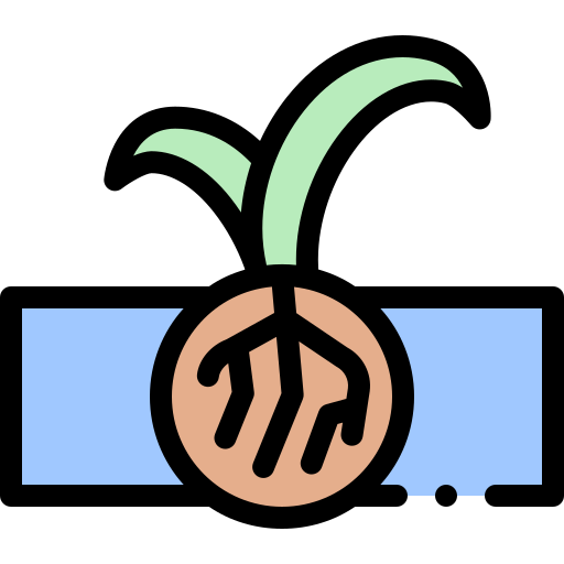 Root Removal Icon